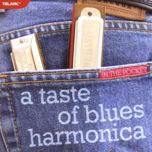 A TASTE OF BLUES HARMONIC