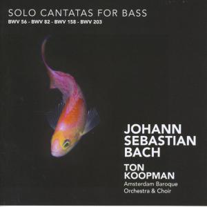 Solo Cantatas For Bass