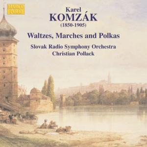 WALTZES AND POLKAS VOL.2