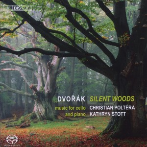 SILENT WOODS:MUSIC FOR CE